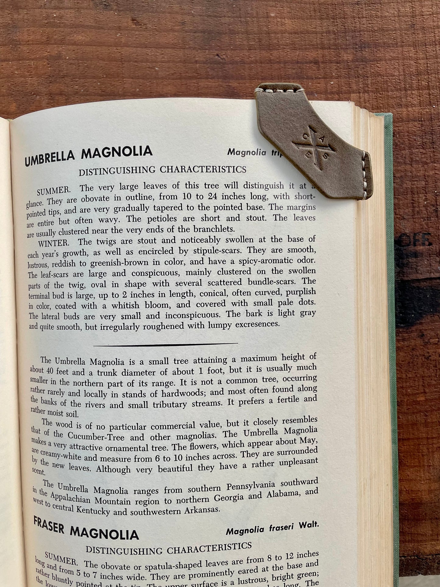Dog Ear Bookmark
