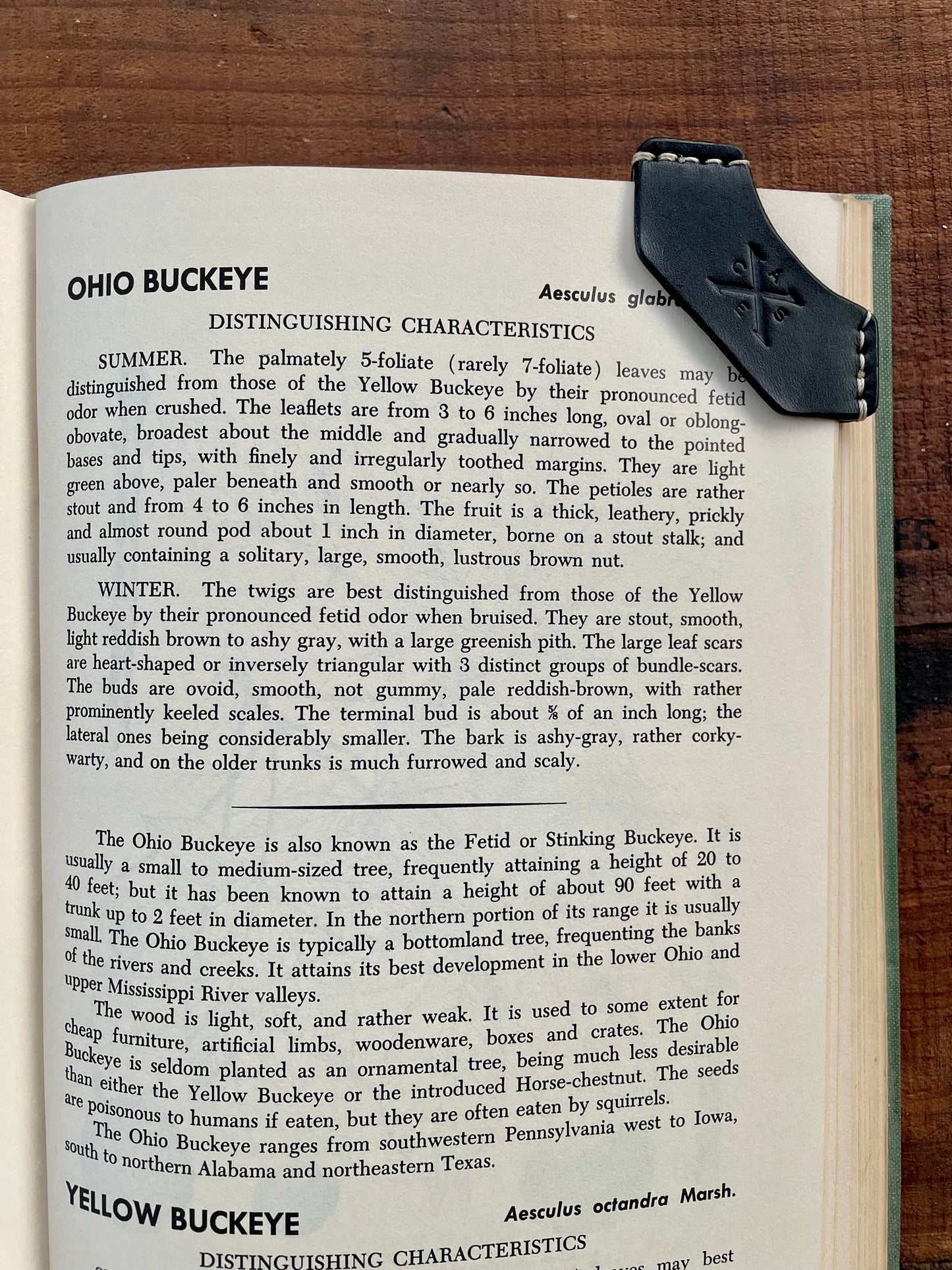 Dog Ear Bookmark