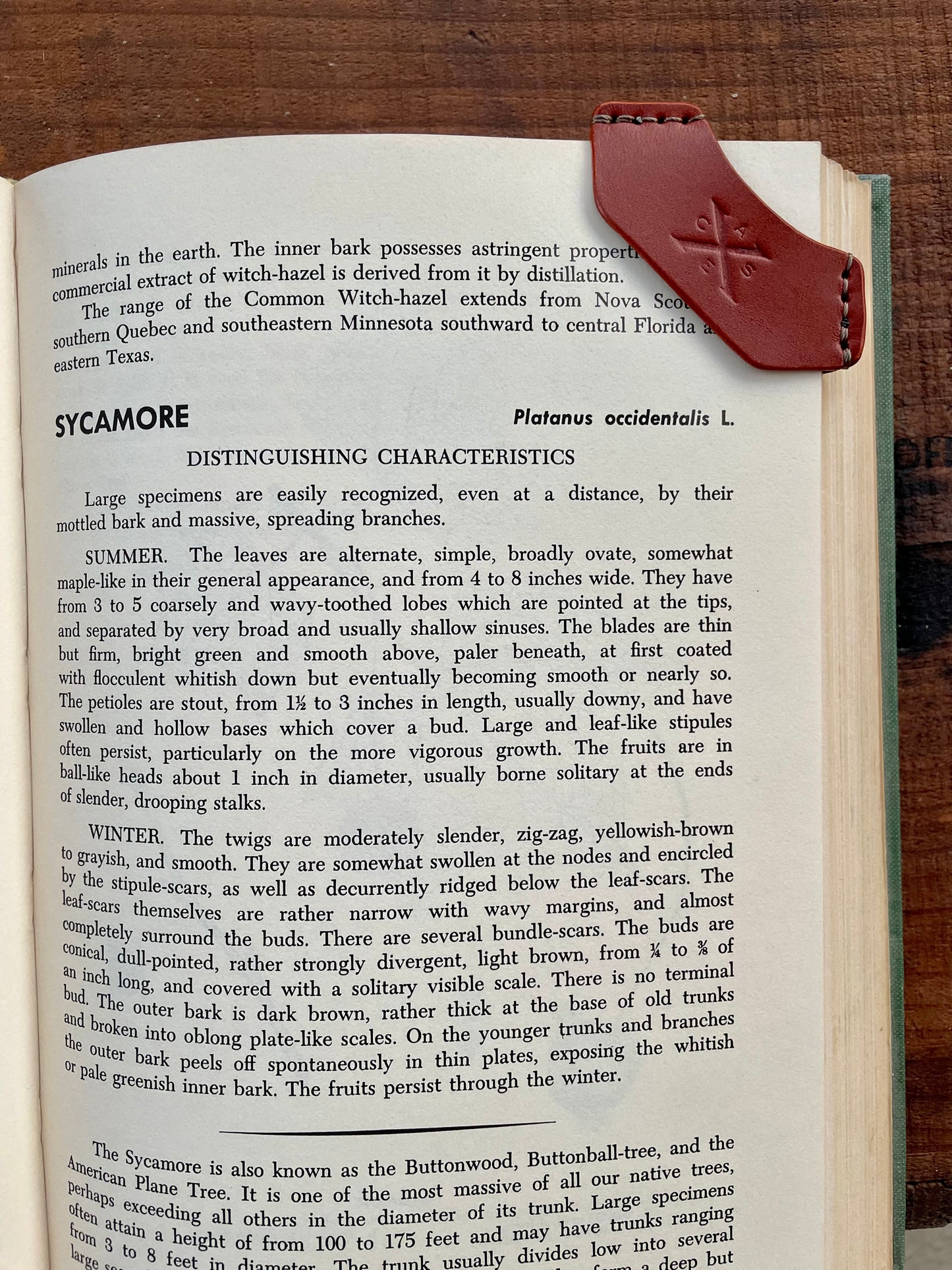 Dog Ear Bookmark